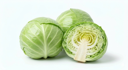 REPOLLO
